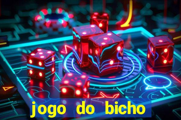 jogo do bicho crash bingo