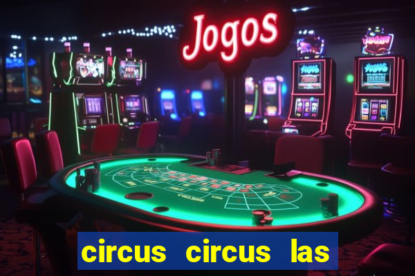 circus circus las vegas casino