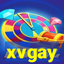 xvgay