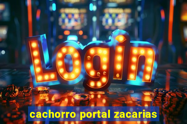 cachorro portal zacarias