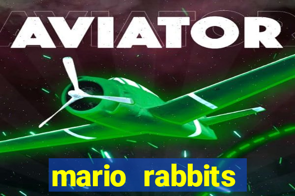 mario rabbits kingdom battle