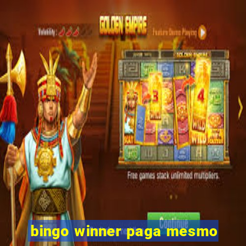 bingo winner paga mesmo