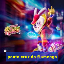 ponto cruz do flamengo