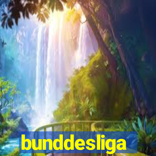 bunddesliga