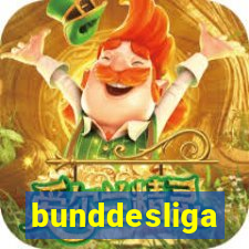 bunddesliga