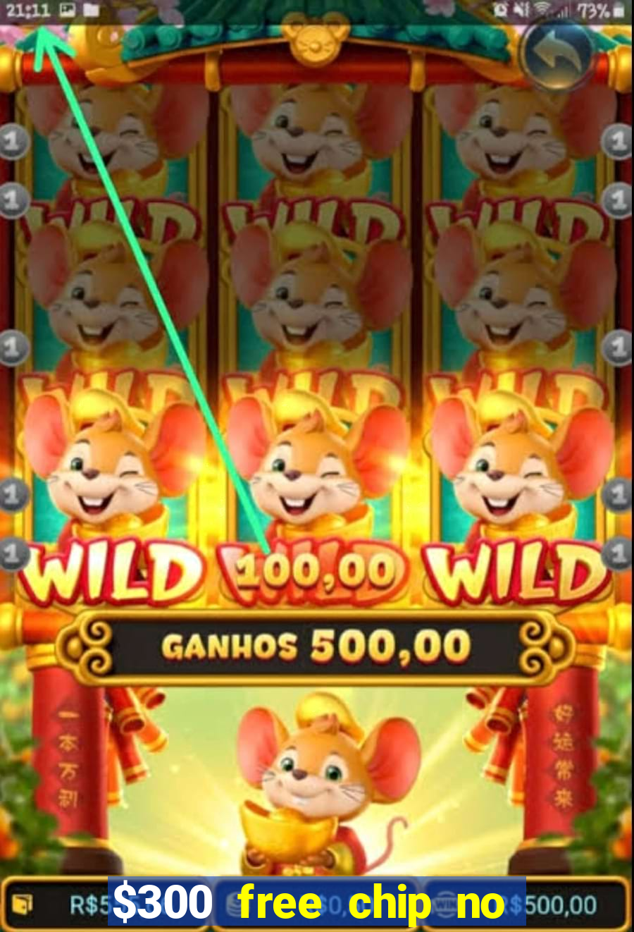 $300 free chip no deposit casino usa