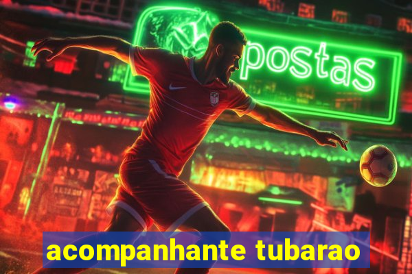 acompanhante tubarao