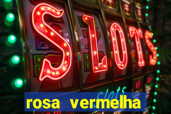 rosa vermelha (letra e cifra)