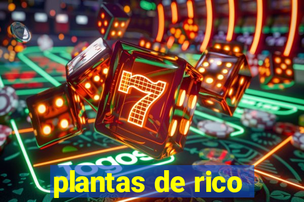 plantas de rico