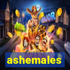 ashemales