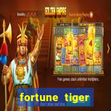 fortune tiger funciona mesmo