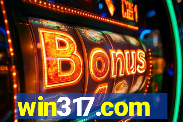 win317.com