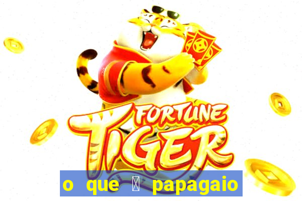 o que 茅 papagaio de pirata