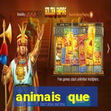 animais que produzem l茫