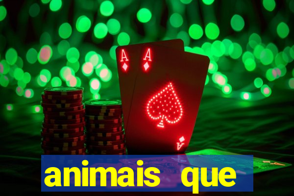 animais que produzem l茫