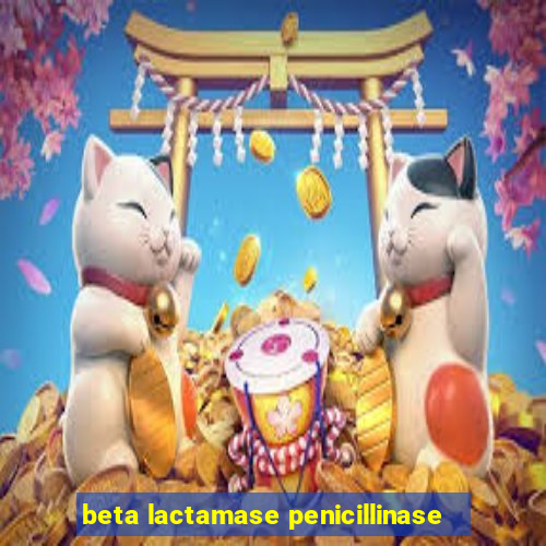 beta lactamase penicillinase