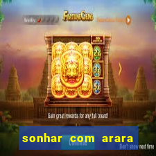 sonhar com arara jogo do bicho