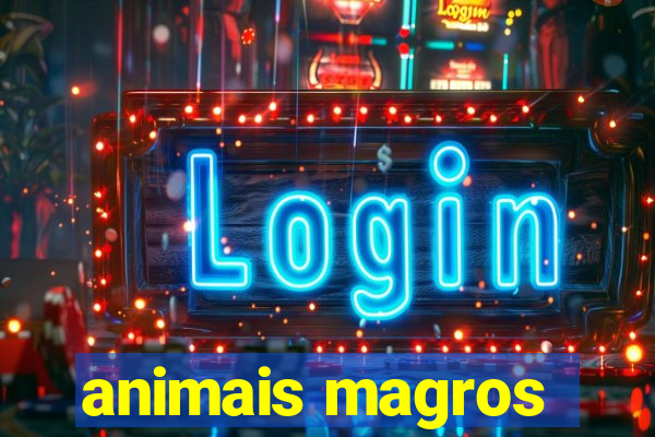 animais magros