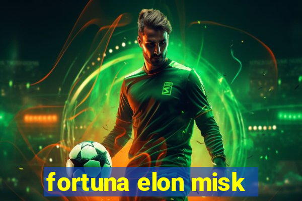 fortuna elon misk