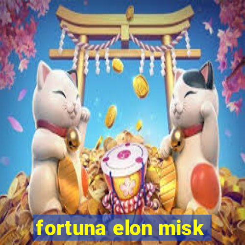 fortuna elon misk