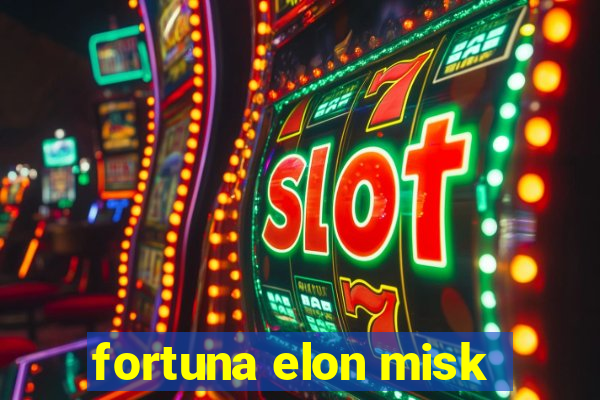 fortuna elon misk