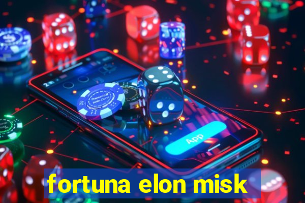 fortuna elon misk