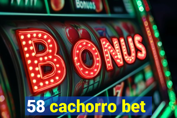 58 cachorro bet