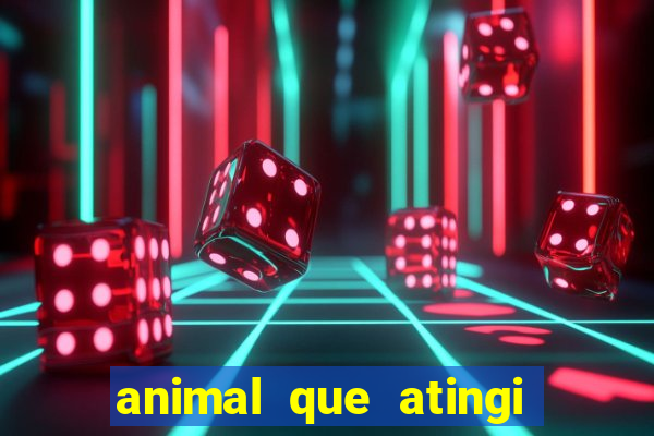 animal que atingi 230 decibeis