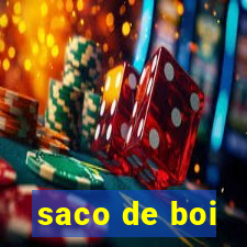 saco de boi