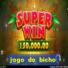 jogo do bicho tipos de apostas