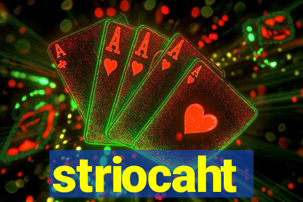 striocaht