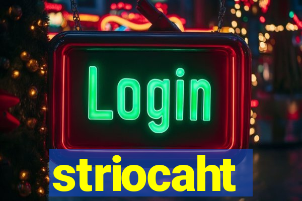 striocaht