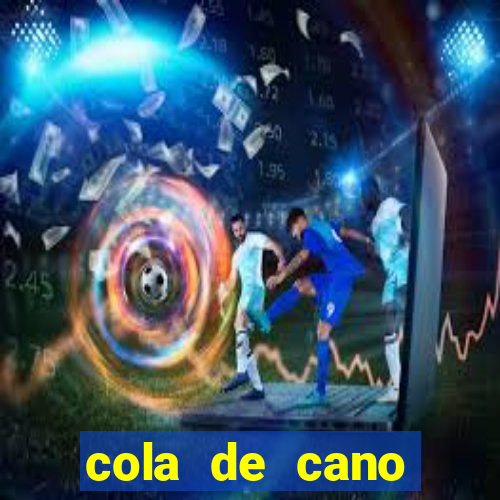 cola de cano quanto tempo para secar