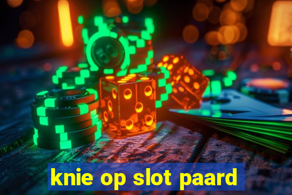 knie op slot paard