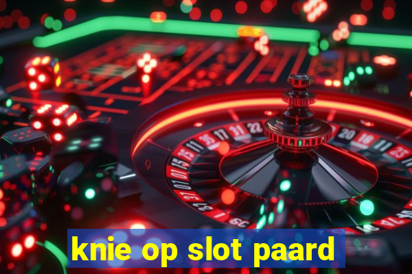 knie op slot paard