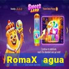 RomaX agua sanitaria fispq agua sanitaria romax