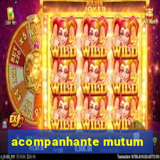 acompanhante mutum