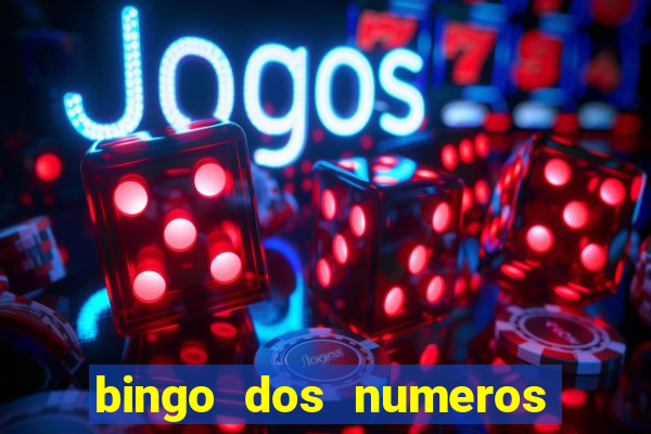 bingo dos numeros de 1 a 30