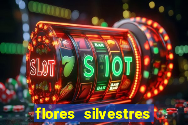 flores silvestres desbravadores desbravadores 25 flores silvestres e seus nomes