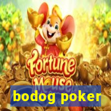 bodog poker