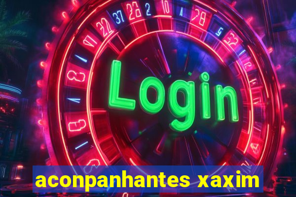 aconpanhantes xaxim