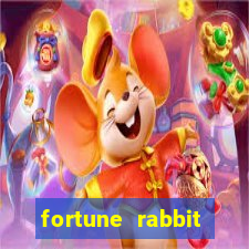 fortune rabbit melhor hor谩rio