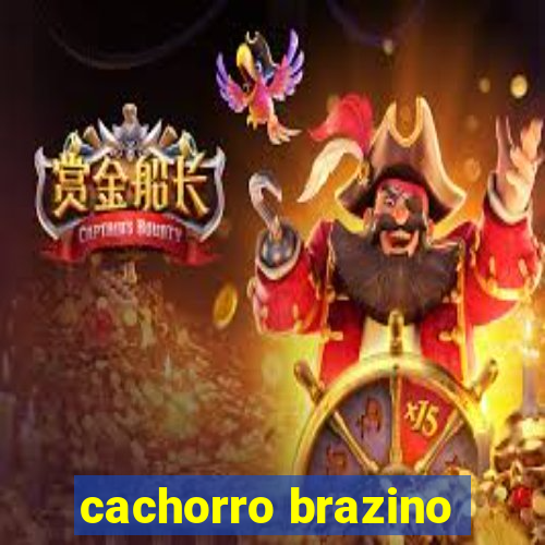 cachorro brazino