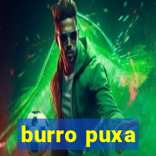 burro puxa