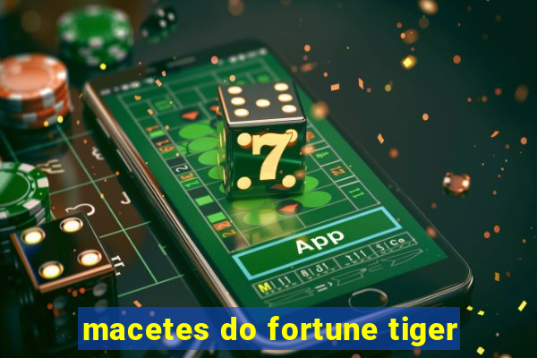 macetes do fortune tiger