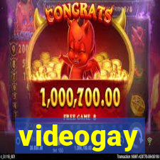 videogay