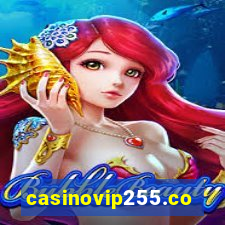 casinovip255.com