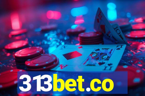 313bet.co