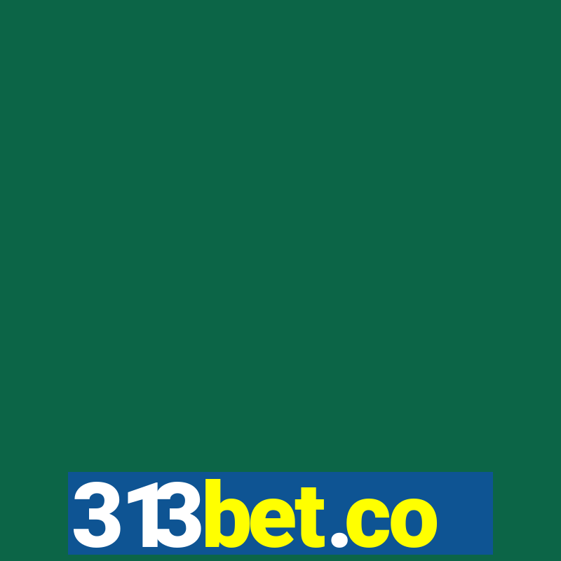 313bet.co