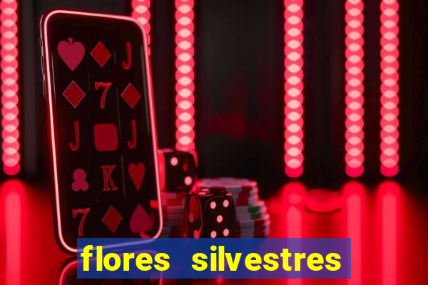 flores silvestres desbravadores desbravadores 25